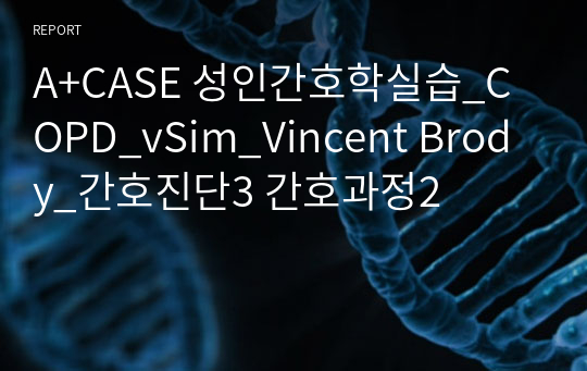 A+CASE 성인간호학실습_COPD_vSim_Vincent Brody_간호진단3 간호과정2