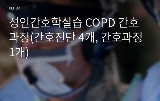 성인간호학실습 COPD 간호과정(간호진단 4개, 간호과정1개)