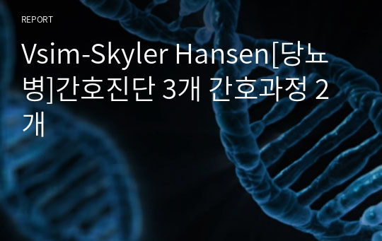 Vsim-Skyler Hansen[당뇨병]간호진단 3개 간호과정 2개