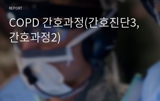 COPD 간호과정(간호진단3, 간호과정2)