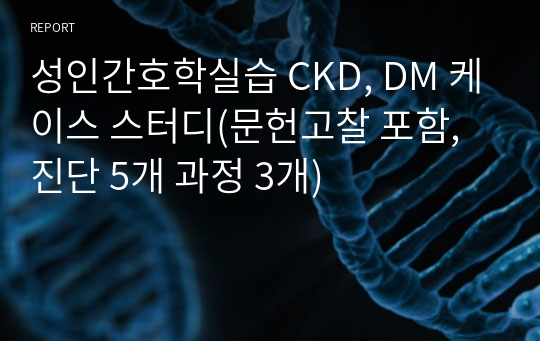 성인간호학실습 CKD, DM 케이스 스터디(문헌고찰 포함, 진단 5개 과정 3개)