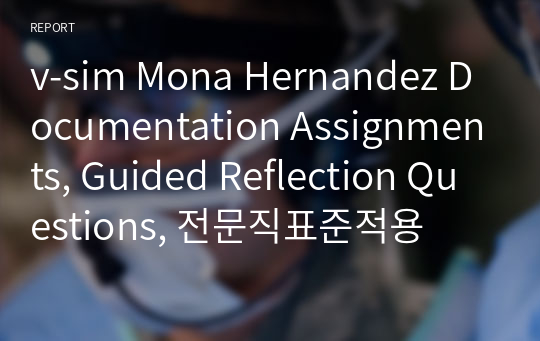 v-sim Mona Hernandez Documentation Assignments, Guided Reflection Questions, 전문직표준적용
