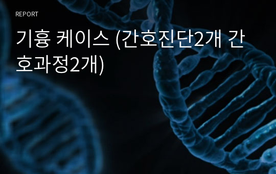 기흉 케이스 (문헌고찰 간호진단2개 간호과정2개)