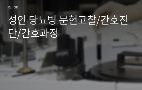 성인 당뇨병 문헌고찰/간호진단/간호과정