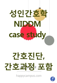성인간호학 NIDDM 2형당뇨병 case study 간호진단과 간호과정 3개