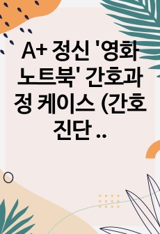 A+ 정신 '영화 노트북' 간호과정 케이스 (간호진단 3개, 간호과정 2개)